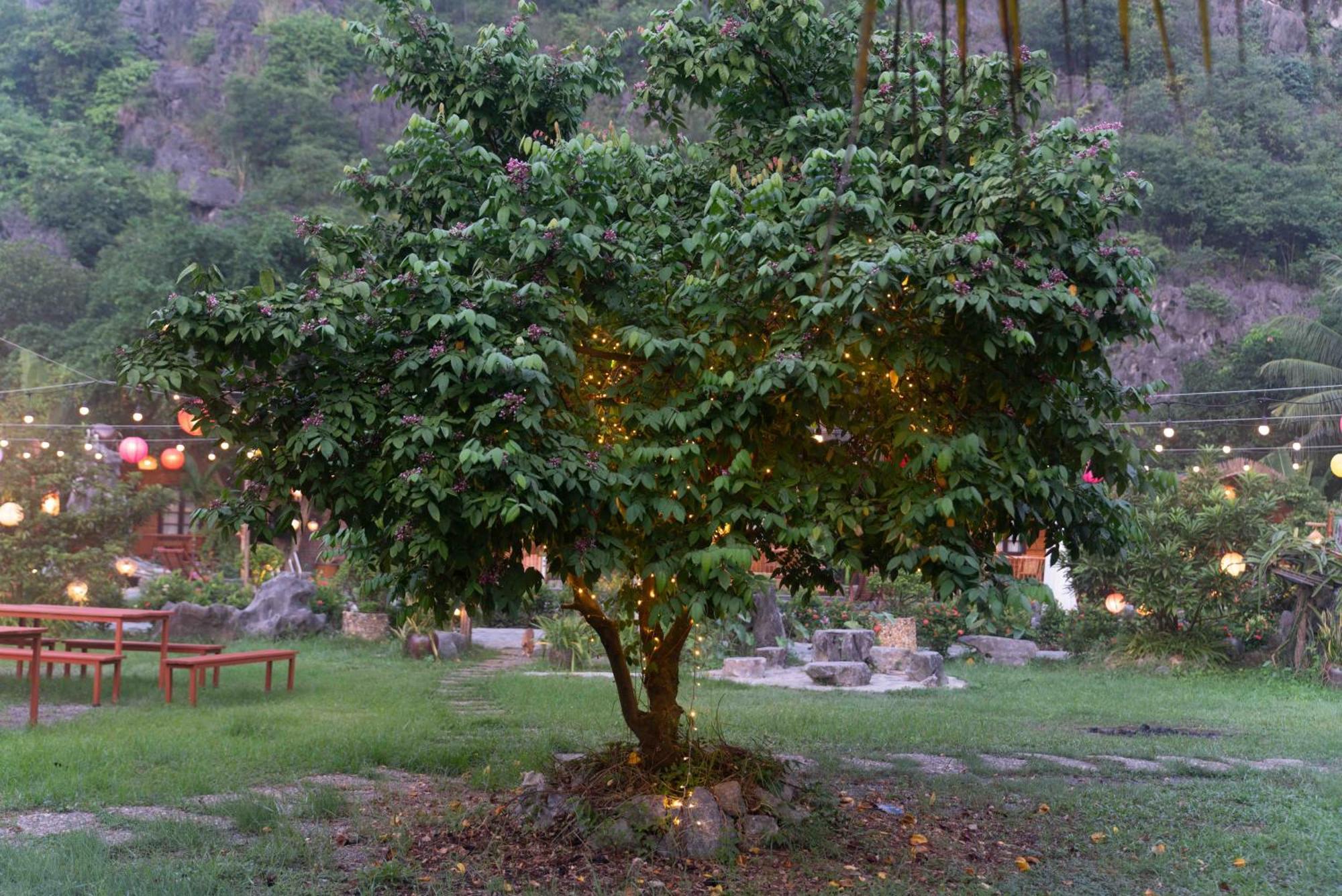 The Goat Boutique Resort Ninh Bình Kültér fotó